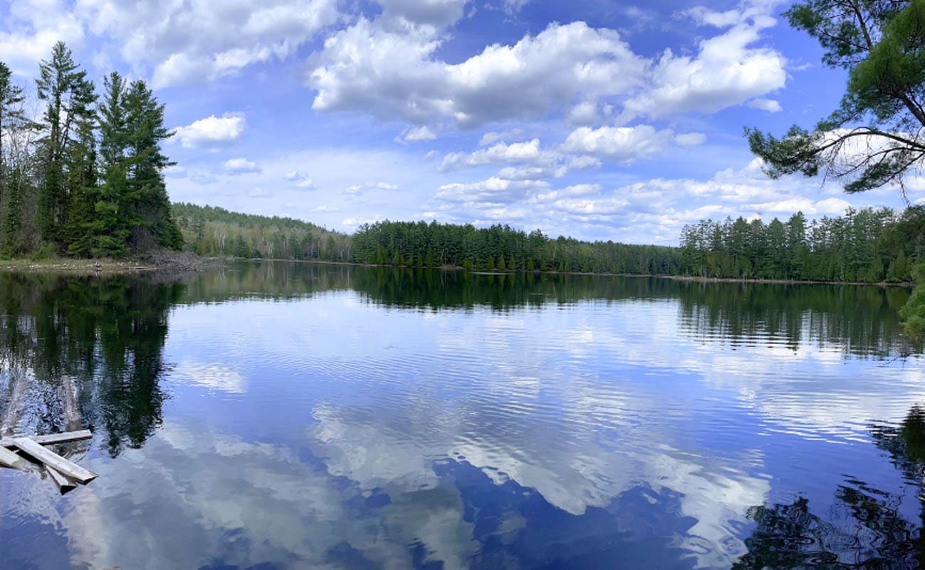 174,900, Shaw Lake, 0 Mountain Road, Plevna DeClute Real Estate