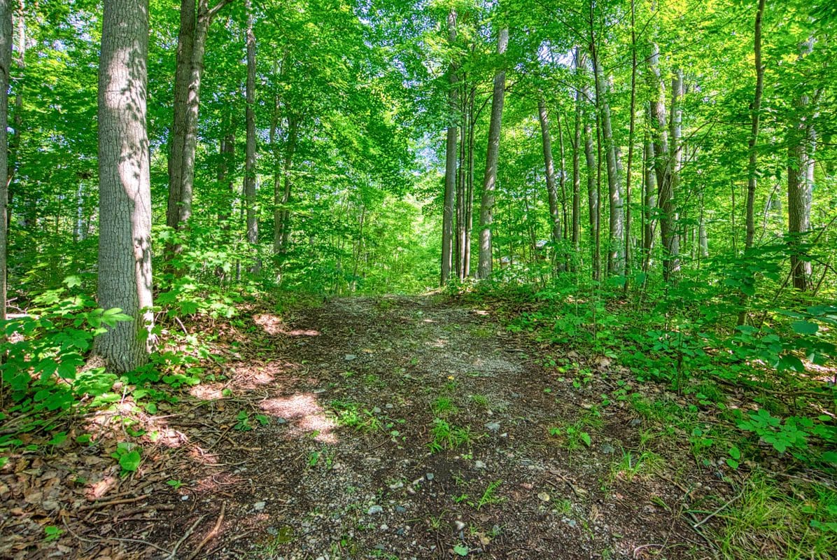 299,000, 1705 Brewer Road, Sharbot Lake, ON DeClute Real Estate